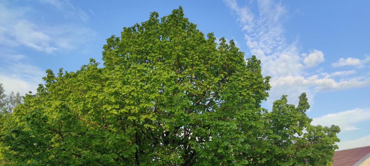 Vepa Lägenhet Wieprze Exteriör bild